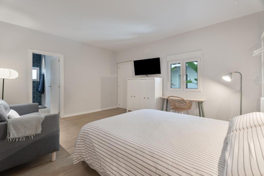 Standard Suite at Pescado Salado CoLiving 3